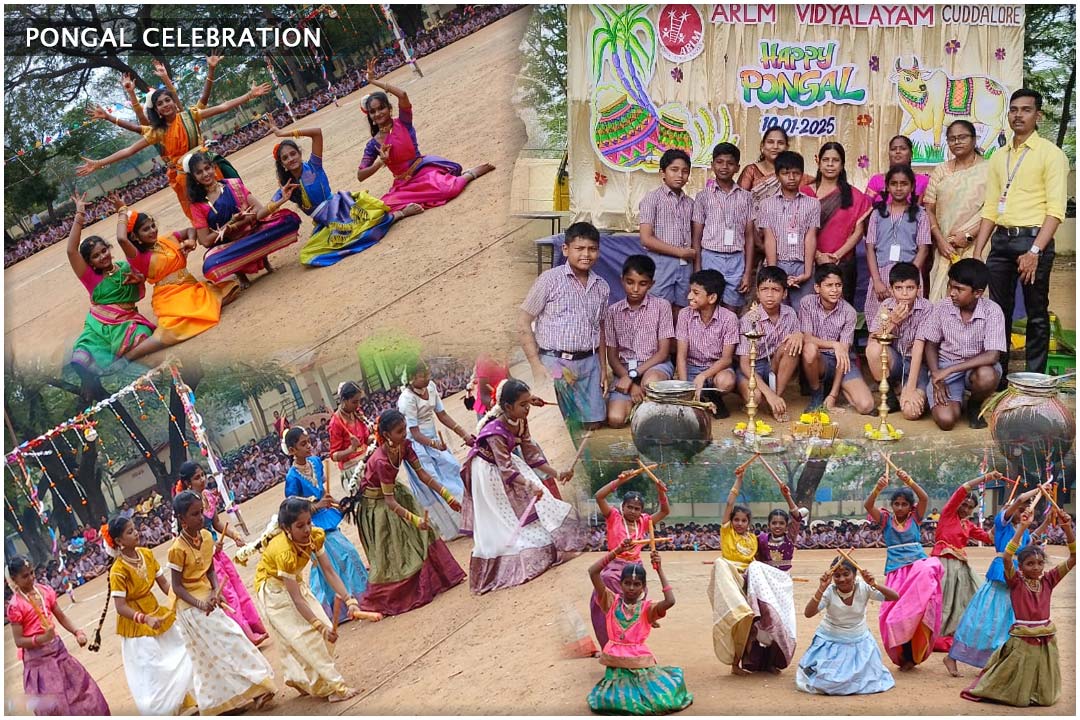 Celebration Image 12